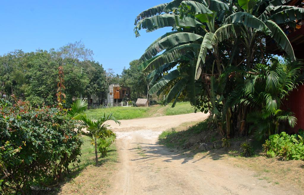 La Buena Vida Hotel Ayampe Exterior photo